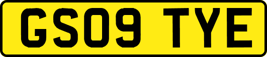 GS09TYE