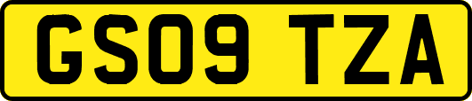 GS09TZA