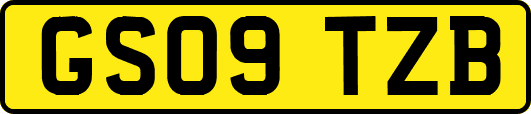 GS09TZB