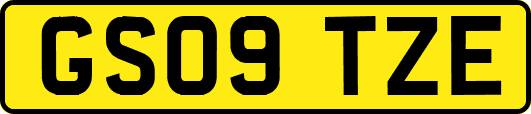 GS09TZE