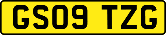 GS09TZG