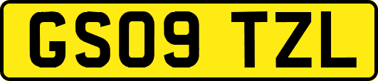 GS09TZL