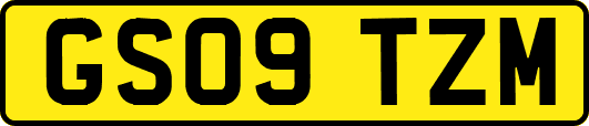 GS09TZM