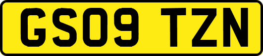 GS09TZN