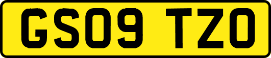 GS09TZO