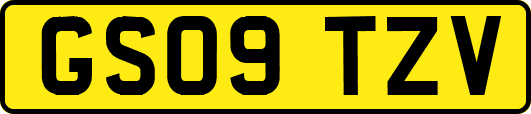 GS09TZV