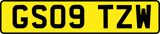 GS09TZW