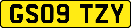 GS09TZY