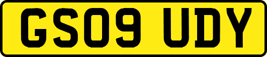 GS09UDY