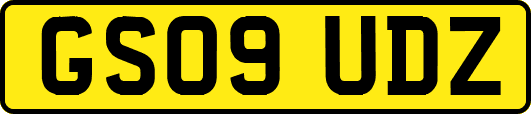 GS09UDZ