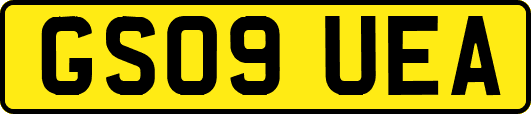 GS09UEA