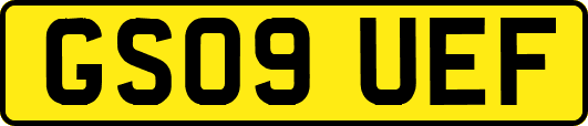 GS09UEF