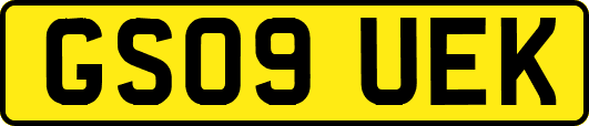 GS09UEK