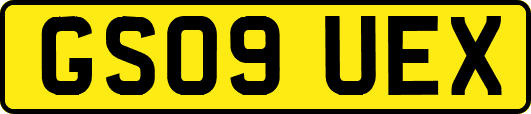 GS09UEX
