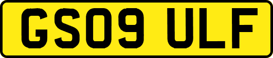 GS09ULF