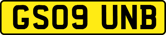 GS09UNB