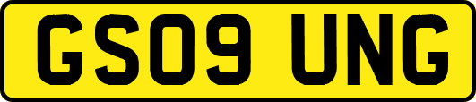 GS09UNG