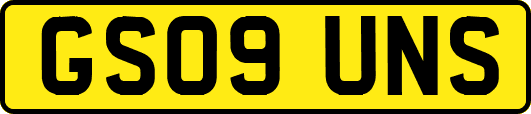 GS09UNS