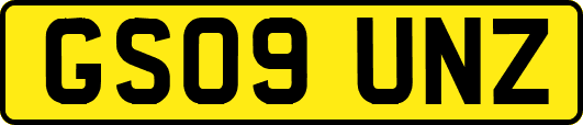 GS09UNZ