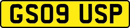 GS09USP