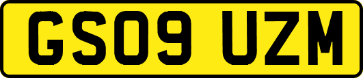 GS09UZM