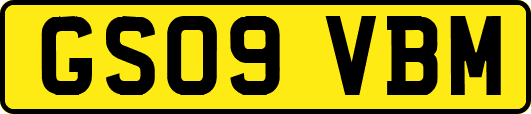 GS09VBM