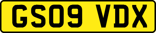 GS09VDX