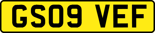 GS09VEF