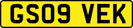 GS09VEK