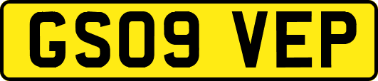 GS09VEP