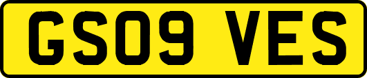GS09VES