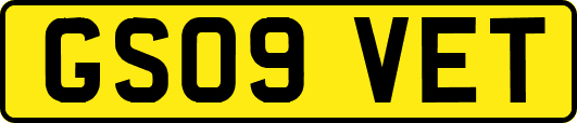 GS09VET