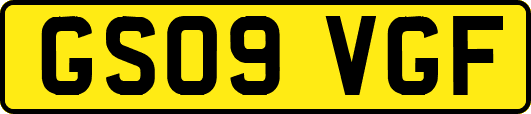 GS09VGF