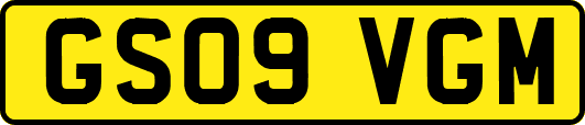 GS09VGM