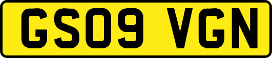 GS09VGN