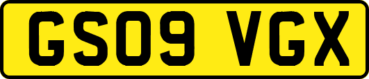 GS09VGX