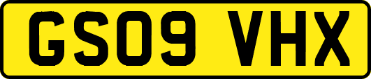 GS09VHX