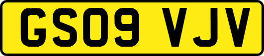 GS09VJV