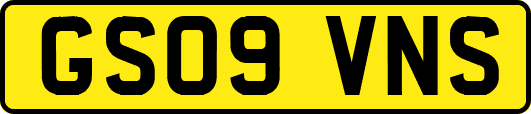 GS09VNS