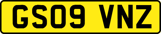 GS09VNZ