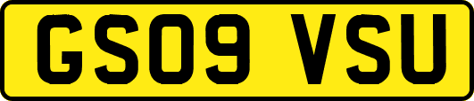GS09VSU