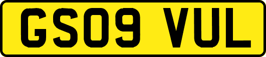 GS09VUL