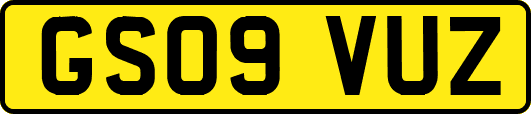 GS09VUZ