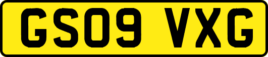 GS09VXG