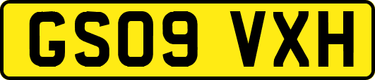 GS09VXH