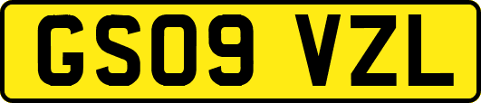GS09VZL