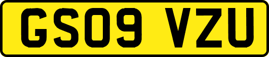 GS09VZU