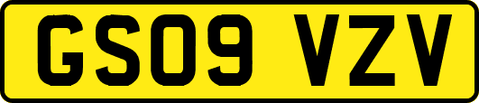 GS09VZV