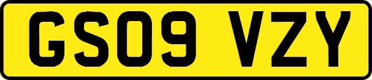 GS09VZY