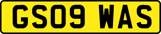 GS09WAS